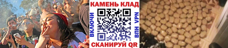 Купить наркоту Холмск блэк спрут как войти  АМФ  Галлюциногенные грибы  Alpha-PVP  Гашиш  Канабис 