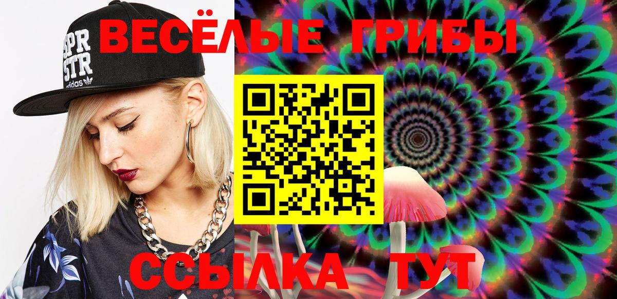 Псилоцибиновые грибы GOLDEN TEACHER Холмск