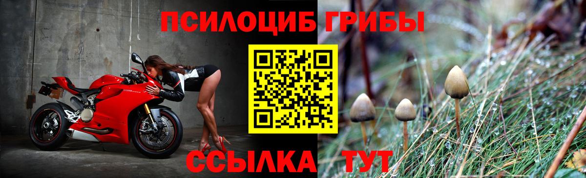 Псилоцибиновые грибы мухоморы  Галлюциногенные грибы ЛСД  Вход с VPN  как найти наркотики  Холмск 